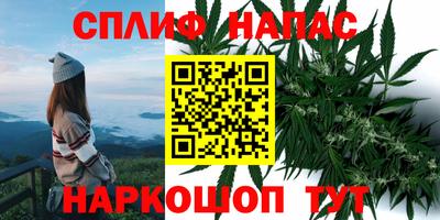 ГАЛЛЮЦИНОГЕННЫЕ ГРИБЫ Ликино-Дулёво