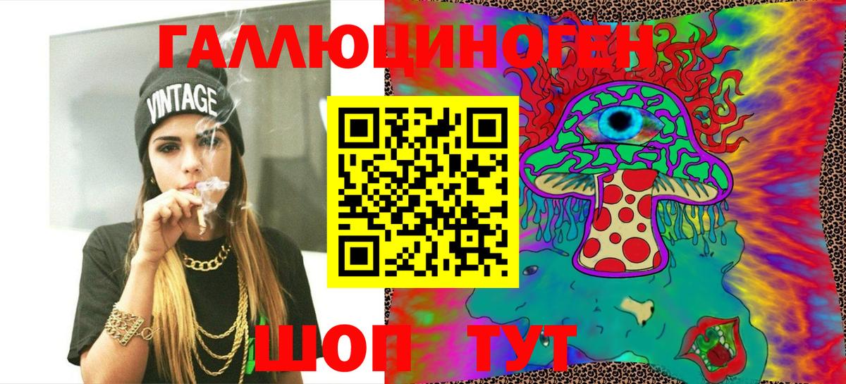 Дмитров  Галлюциногенные грибы ЛСД  Псилоцибиновые грибы ЛСД  Вход с VPN 