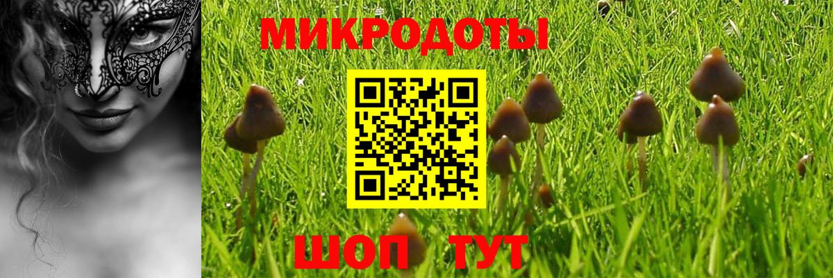 Псилоцибиновые грибы MAGIC MUSHROOMS Дмитров